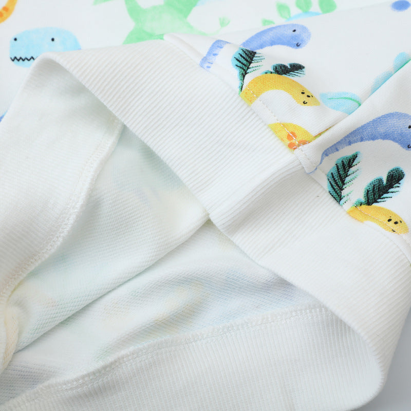 Kinder Sweatshirt mit buntem Dinosaurierdruck EB