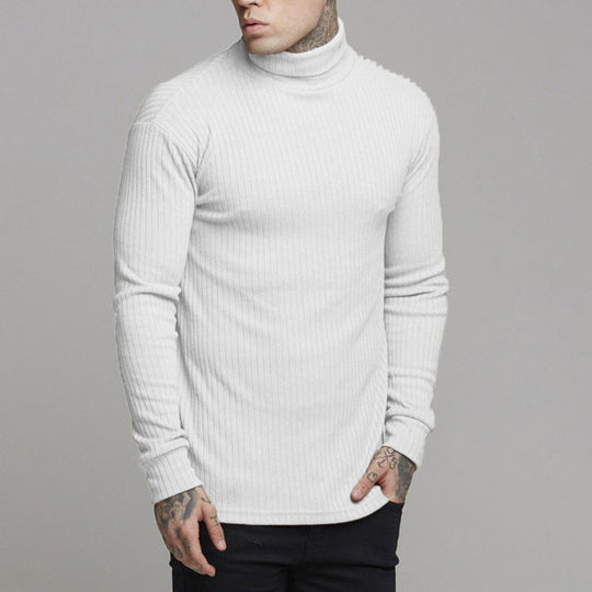 Herren modisches Langarmshirt mit Rollkragen EB