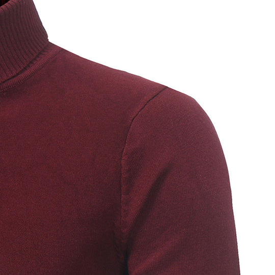 Herren Hochwertiger Rollkragenpullover aus weichem Strick EB