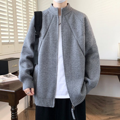 Herren Strickjacke mit hochgeschlossenem Kragen und Reißverschluss EB