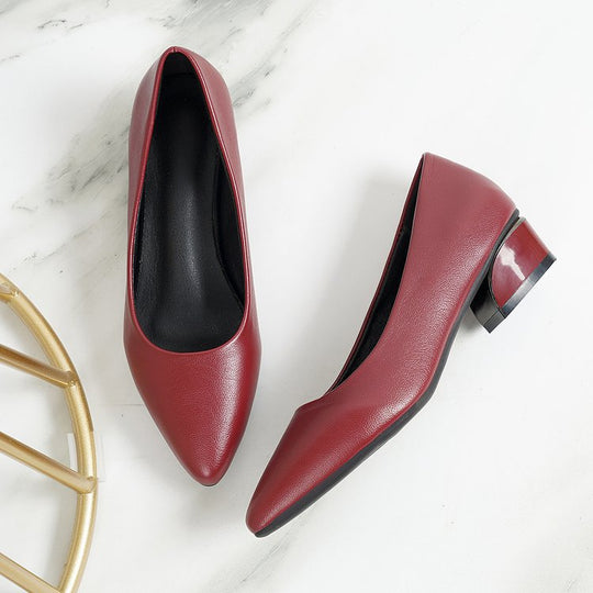 Damen Spitze Pumps mit niedrigem Blockabsatz und eleganter Form EB