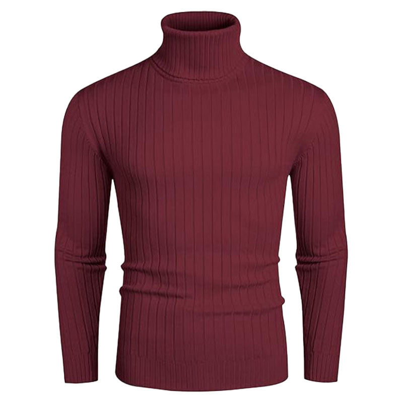 Herren Rollkragenpullover aus elastischem Strickmaterial mit feinem Rippendesign EB