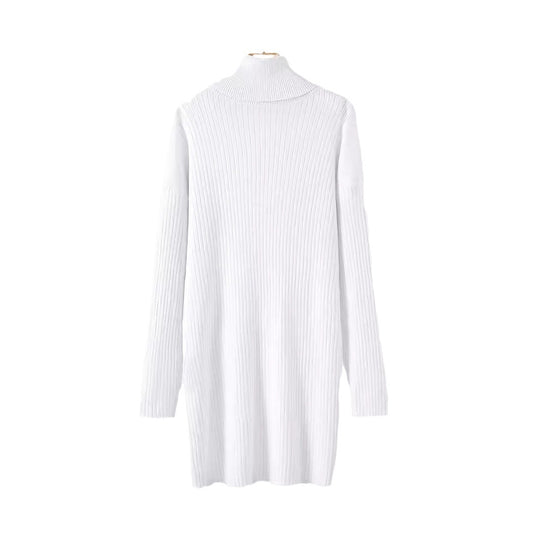 Damen Strickkleid mit hohem Kragen und Rippstruktur EB