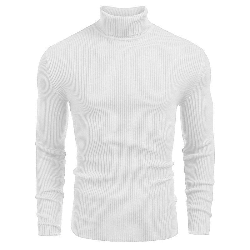 Herren Rollkragenpullover aus feinem Rippstrick EB