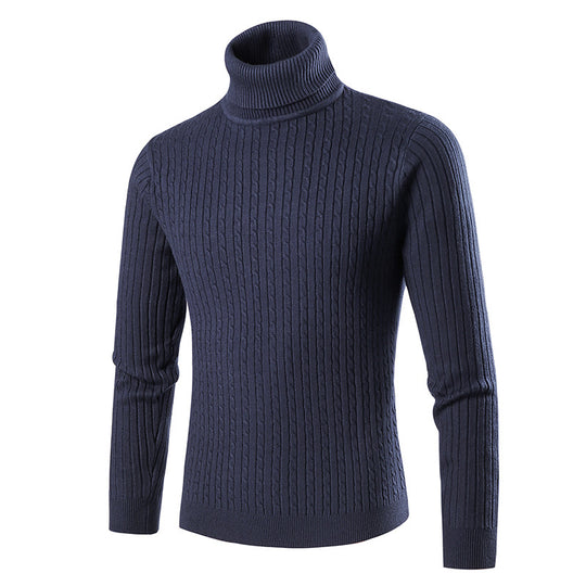 Herren modischer Rollkragenpullover aus strukturiertem Strick EB