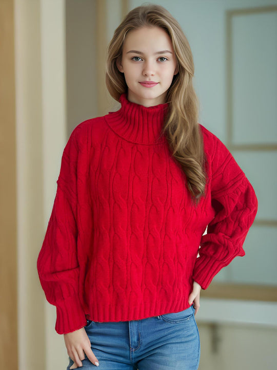 Damen Strickpullover mit hohem Kragen und strukturierter Zopfoptik EB