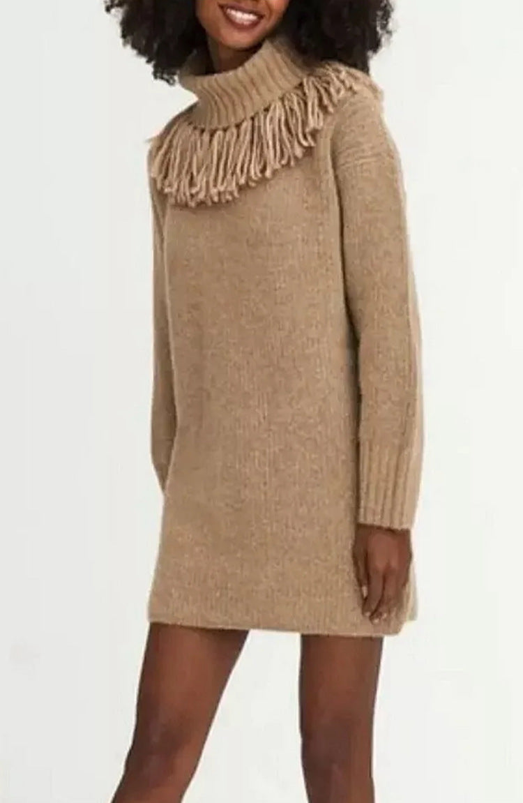 Damen Strickkleid mit hohem Rollkragen und modischen Fransen EB