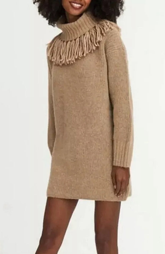 Damen Strickkleid mit hohem Rollkragen und modischen Fransen EB