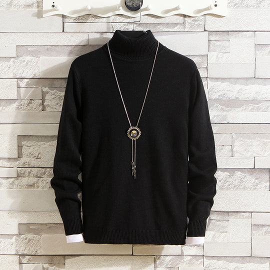 Herren Rollkragenpullover aus hochwertigem Strickmaterial EB