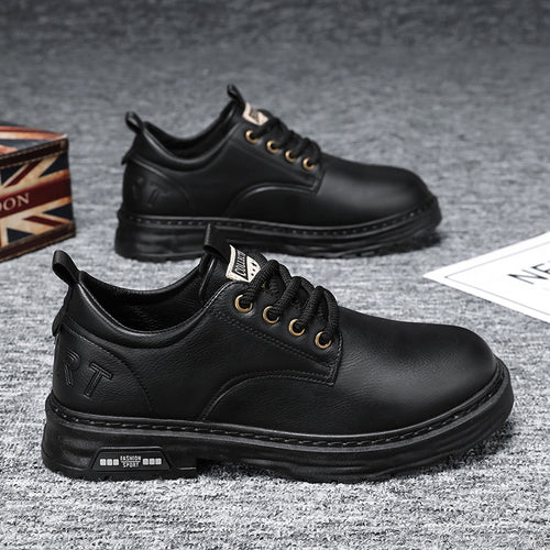 Herren Schnürschuhe aus Leder EB