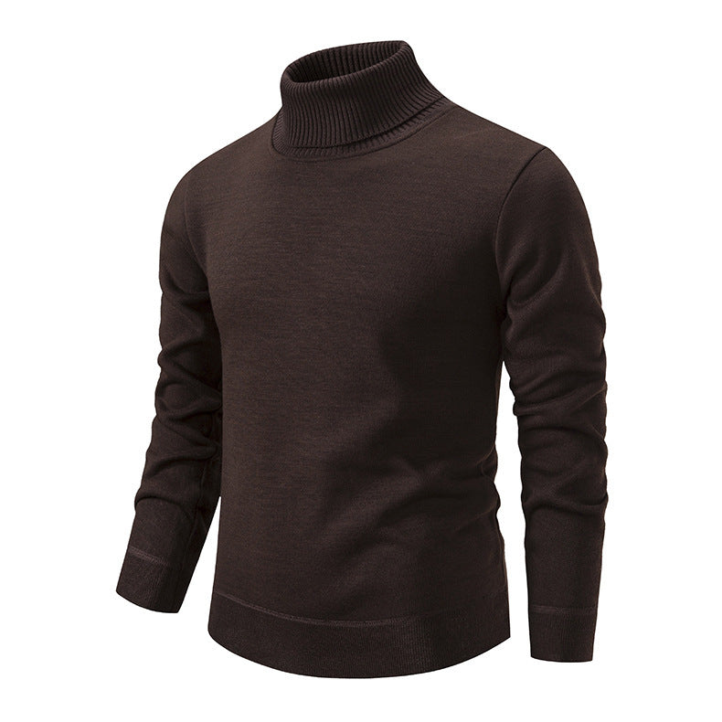 Herren Rollkragenpullover aus weichem Strick mit strukturiertem Design EB