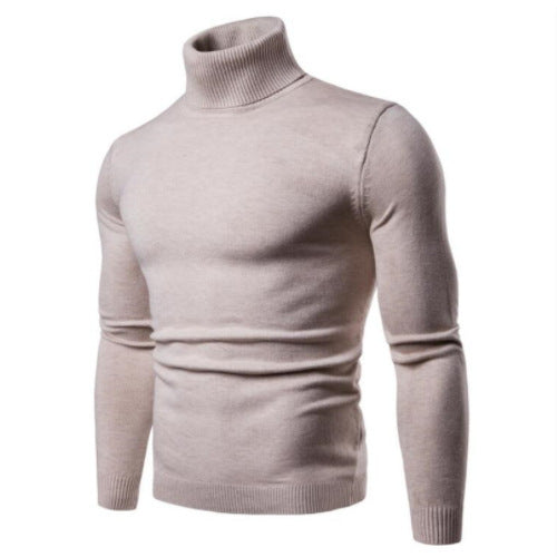 Herren nan enger anliegender Rollkragenpullover aus Feinstrick EB