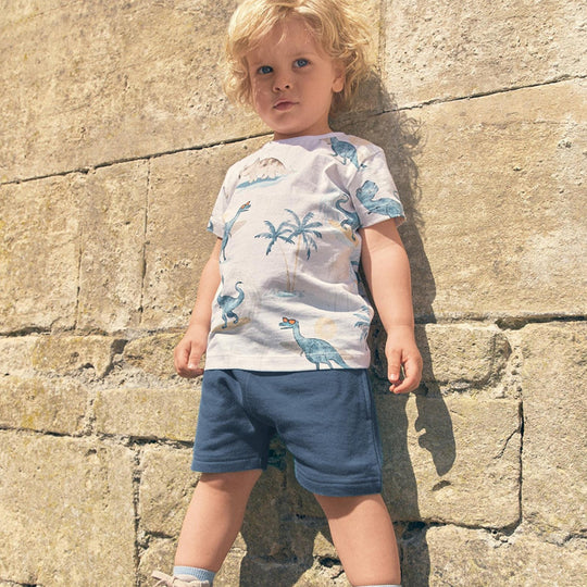 Jungen Sommer Outfit mit Dinosaurier-Print EB
