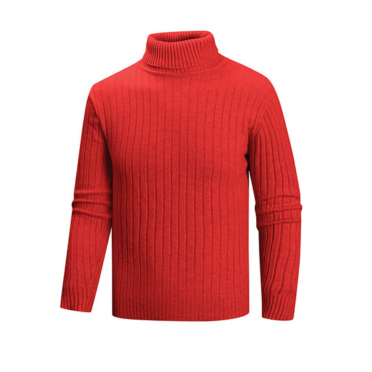 Herren Strickpullover mit Stehkragen EB