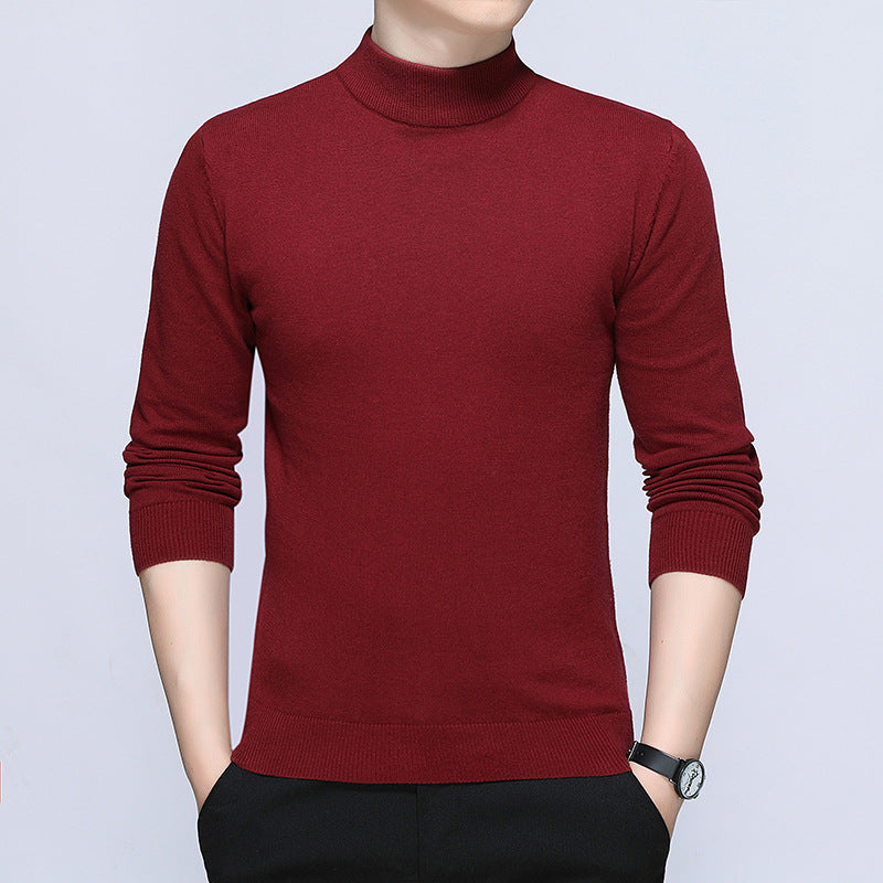 Herren stilvoller Rollkragenpullover aus weichem Baumwollmix EB