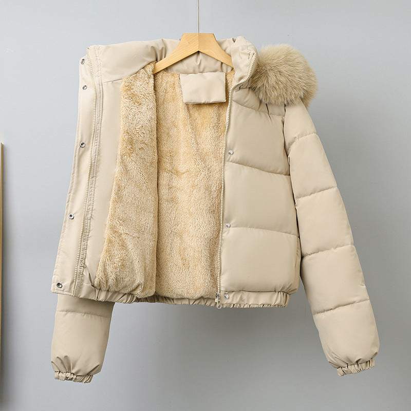 Damen nan kurz geschnittener Thermo-Blouson mit voluminöser Kapuzenblende und elastischem Saum EB