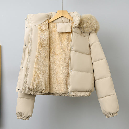 Damen nan kurz geschnittener Thermo-Blouson mit voluminöser Kapuzenblende und elastischem Saum EB