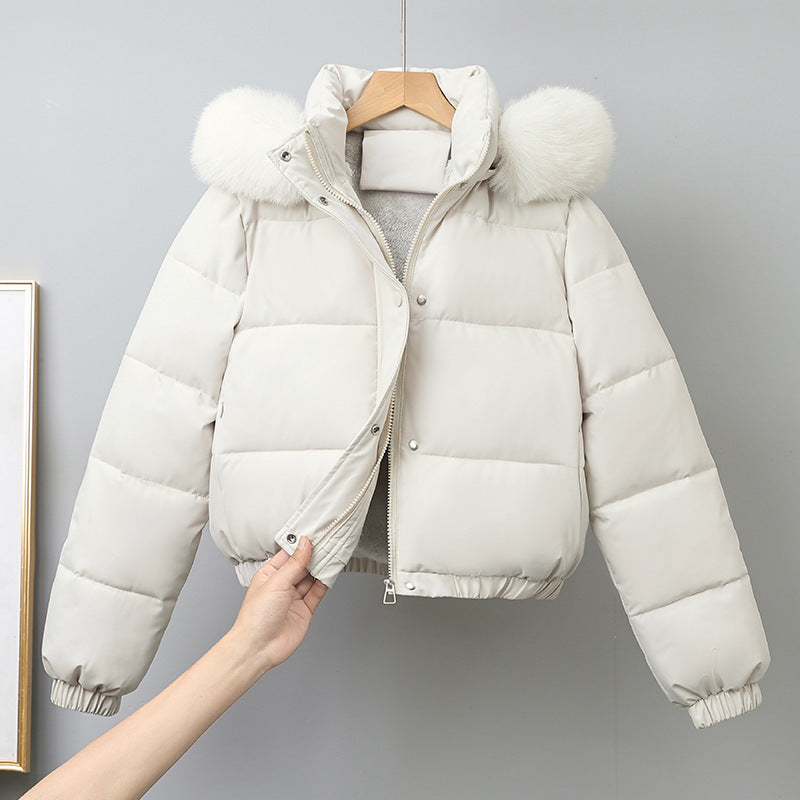 Damen nan kurz geschnittener Thermo-Blouson mit voluminöser Kapuzenblende und elastischem Saum EB