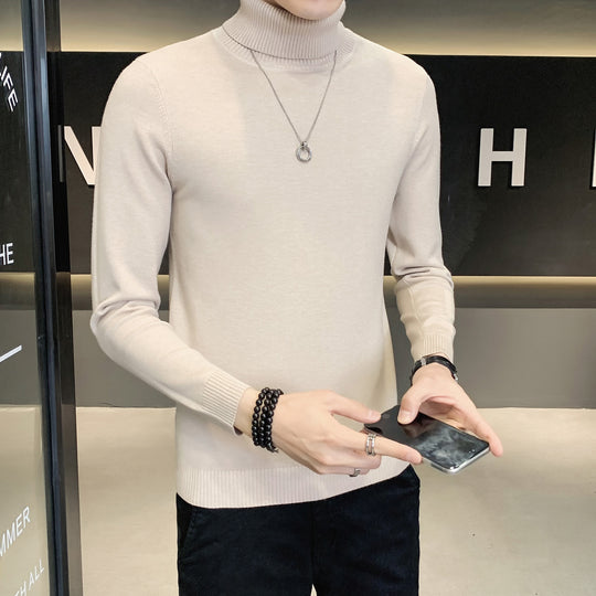 Herren Pullover mit hohem Kragen aus weicher Strickware EB