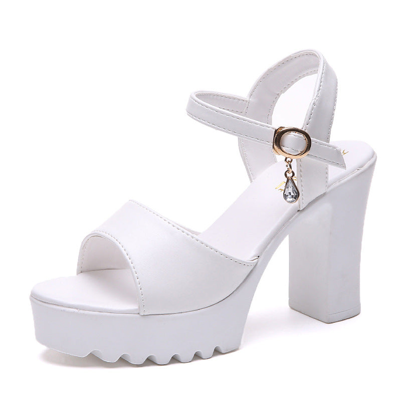 Damen Absatzsandalen mit trendigem Blockabsatz und eleganten Riemen EB