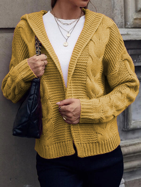 Damen Grobstrickjacke mit Kapuze und aufwendigem Zopfmuster EB