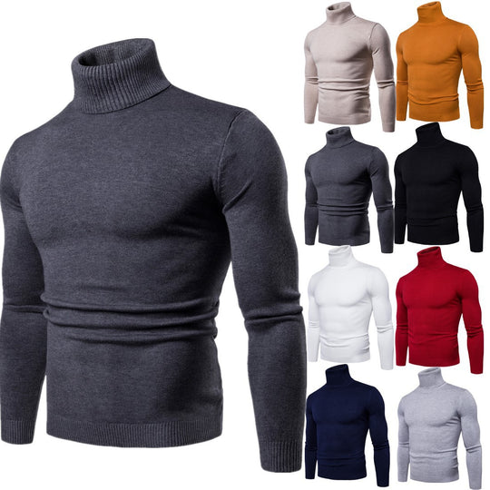 Herren Rollkragenpullover aus weichem Strick EB