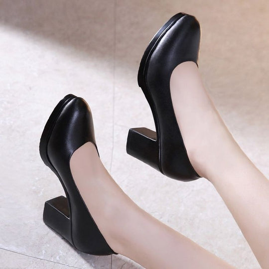 Damen Elegant Design Pumps EB