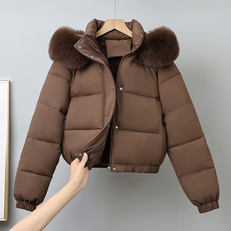 Damen nan kurz geschnittener Thermo-Blouson mit voluminöser Kapuzenblende und elastischem Saum EB