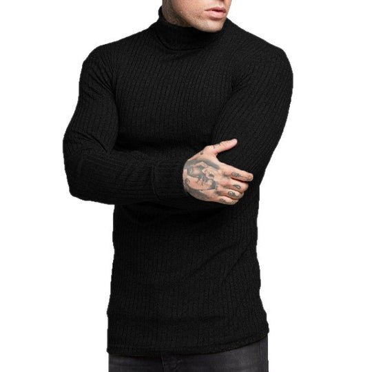 Herren modisches Langarmshirt mit Rollkragen EB