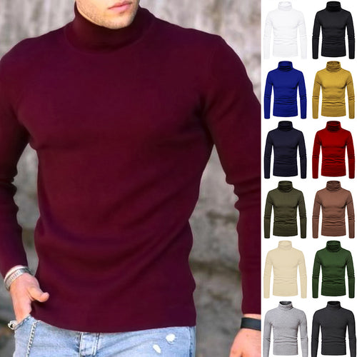 Herren Rollkragenpullover aus weichem Stretchmaterial EB