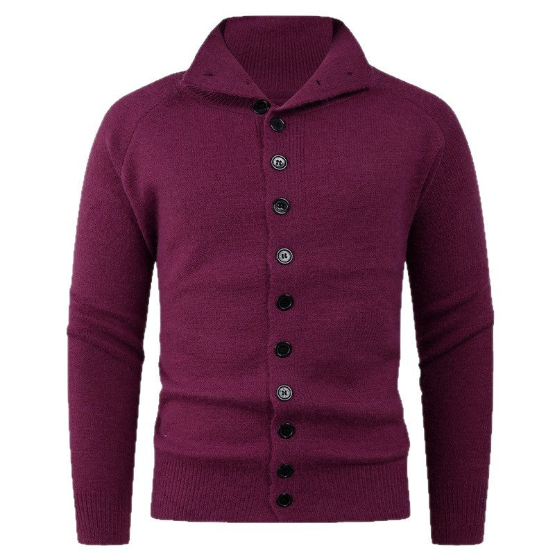 Herren Strickpullover mit hohem Kragen und Knopfverschluss EB