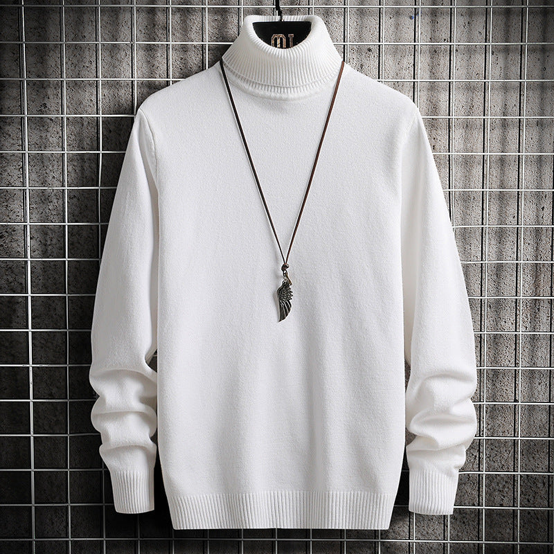 Herren bequemer Rollkragenpullover EB