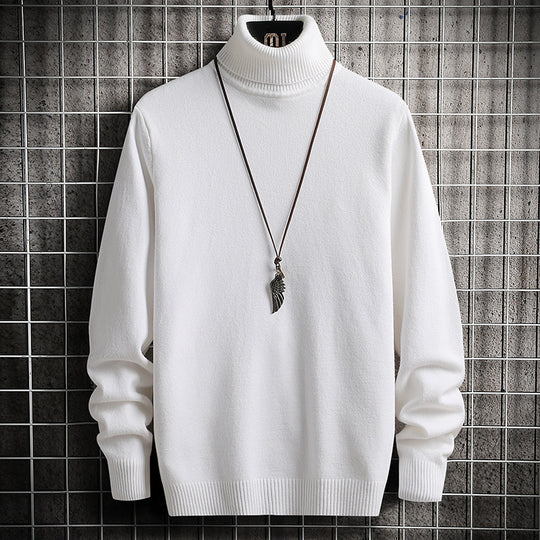 Herren bequemer Rollkragenpullover EB