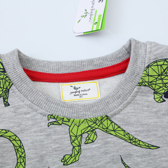 Kinder Sweatshirt mit kreativem Dinosaurier-Muster EB
