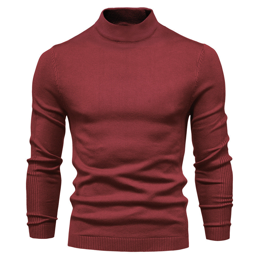 Herren stilvoller Rollkragenpullover aus weicher Merinowolle EB