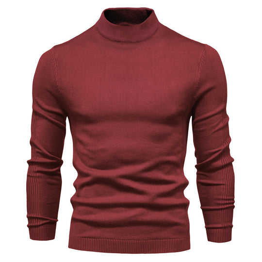 Herren stilvoller Rollkragenpullover aus weicher Merinowolle EB