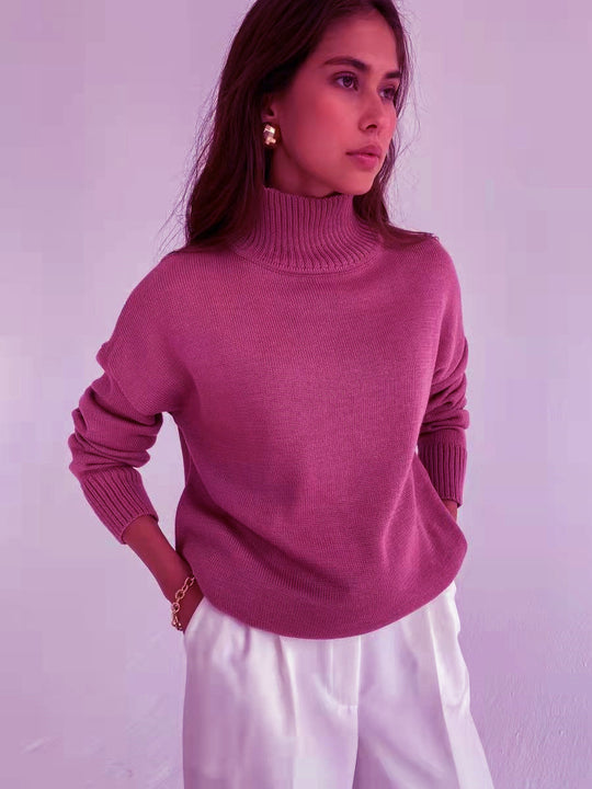 Damen modischer Rollkragenpullover EB