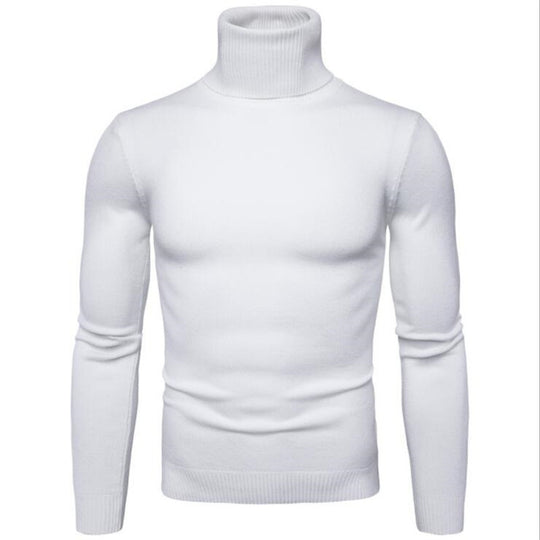 Herren Rollkragenpullover aus feiner Strickware EB