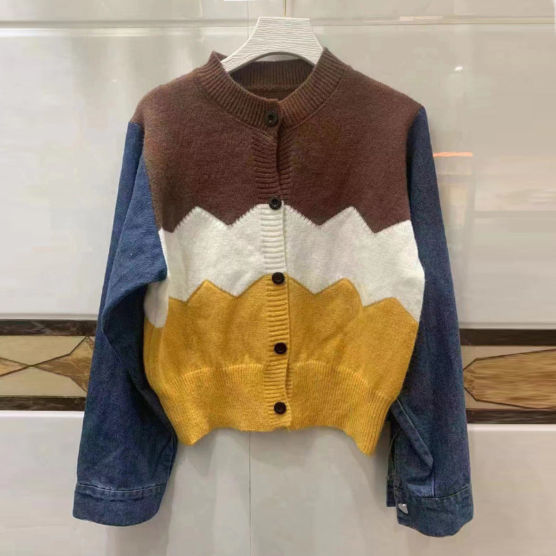 Damen Trendige Strickjacke mit modernen Farbakzenten EB