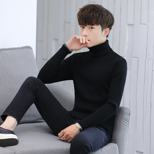 Herren Eleganter Rollkragenpullover mit Rippmuster EB