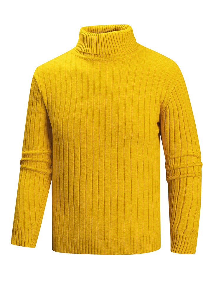 Herren Rollkragenpullover aus hochwertigem Feinstrick EB