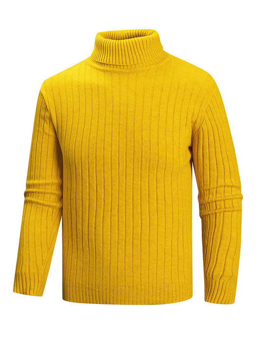 Herren Rollkragenpullover aus hochwertigem Feinstrick EB