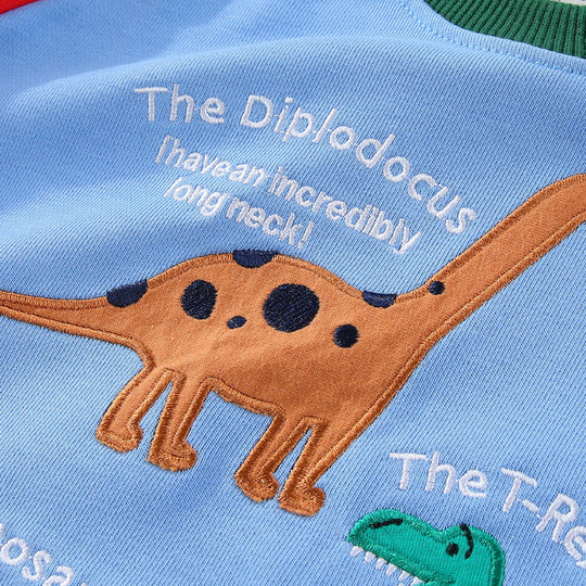 Jungen Sweatshirt mit lustigem Dinosaurierdesign EB