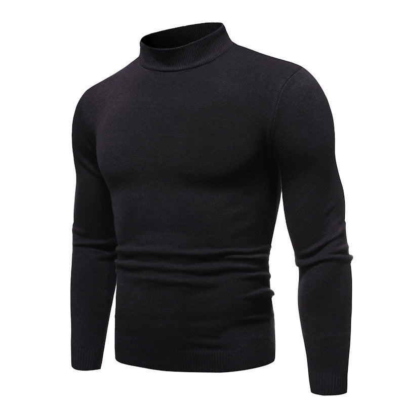 Herren zeitloser Rollkragenpullover EB