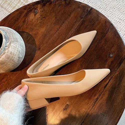 Damen elegante spitze Pumps mit glänzender Oberfläche EB