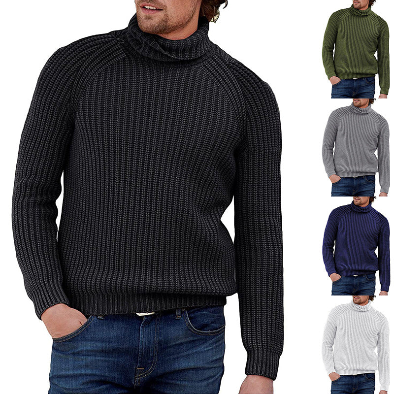 Herren Grobstrick Pullover mit hohem Kragen EB