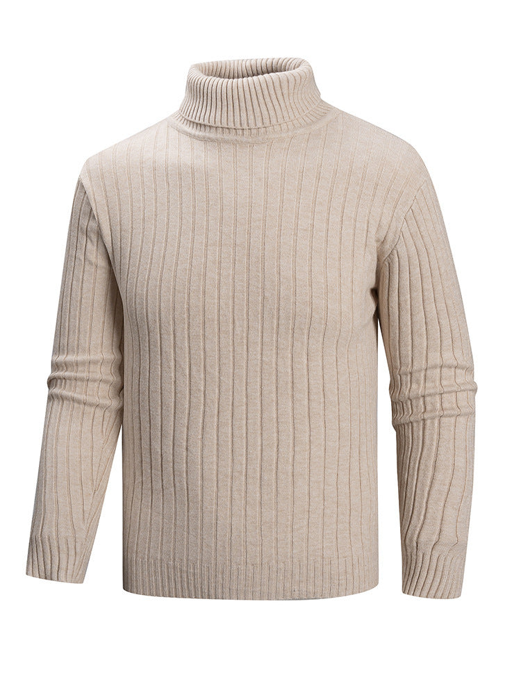 Herren Rollkragenpullover aus hochwertigem Feinstrick EB