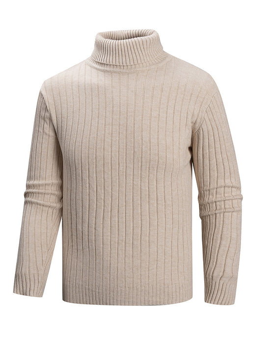 Herren Rollkragenpullover aus hochwertigem Feinstrick EB