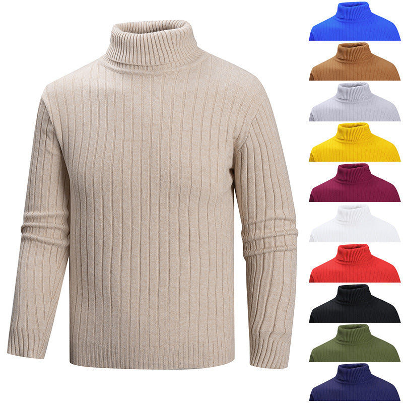 Herren Strickpullover mit Stehkragen EB