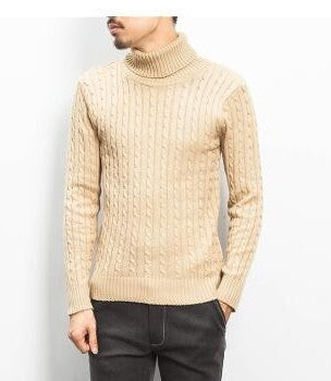 Herren modischer Rollkragenpullover mit strukturierter Strickoptik EB